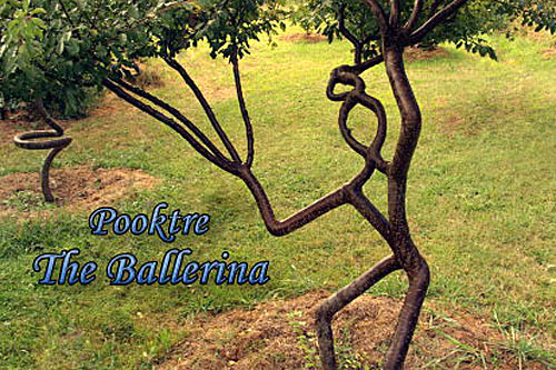 Балерина - www.pooktree.com