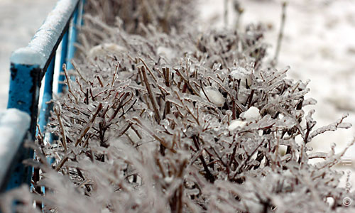Ледяной дождь в Москве. Декабрь 2010 года.